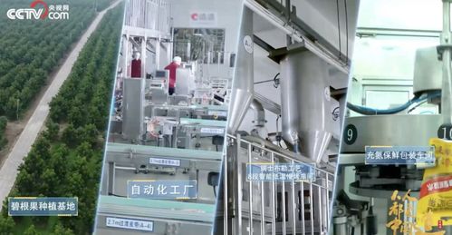 洽洽食品2022年三季度凈利潤達(dá)6.27億元，同比增長5.45%，技術(shù)服務(wù)成新增長點(diǎn)