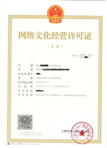 網絡文化經營新助力 阿里云云市場中的網絡熱詞相關產品與知識解析